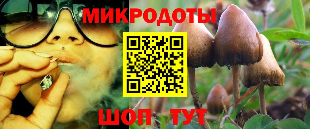 Чистополь  Галлюциногенные грибы GOLDEN TEACHER  Вход с VPN  Галлюциногенные грибы прущие грибы 