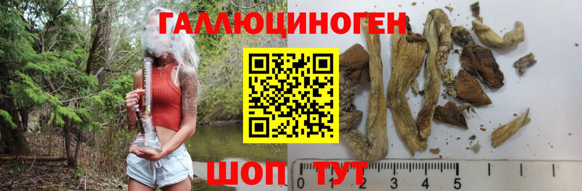 Псилоцибиновые грибы GOLDEN TEACHER Чистополь
